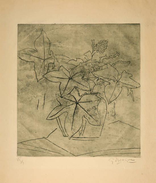 Georges Braque  : Le lierre , 1955